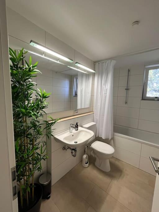 City Appartement Direkt Am Schloss! Karlsruhe Kültér fotó
