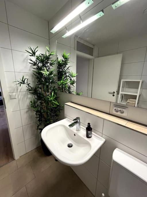 City Appartement Direkt Am Schloss! Karlsruhe Kültér fotó